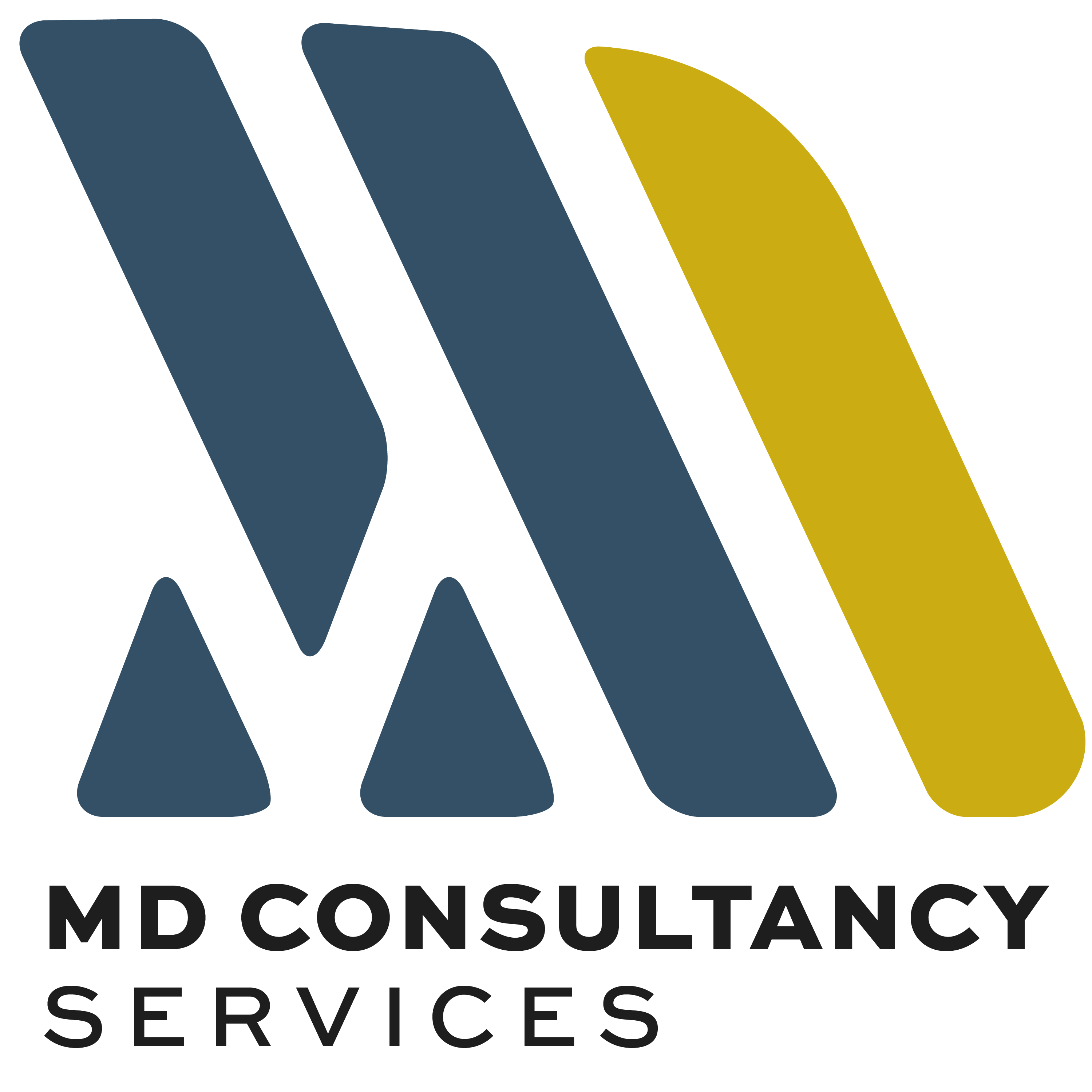 MD Consultancy Services logo